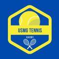 Logo tennis 1