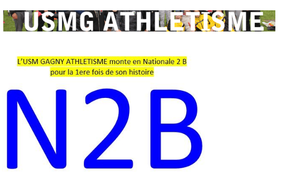 N2b